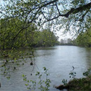 hazel-landing-park-thumb