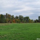 field-of-green-at-lawrence-w-inlow-park