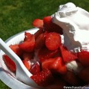 Strawberries on the Square