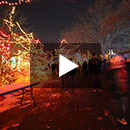 christmas-at-zoo-thumb