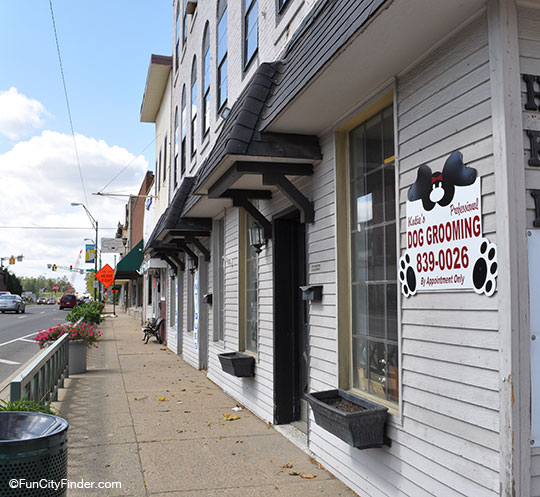 Dog Grooming business in Plainfield, Indiana