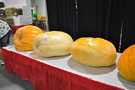 Trafalgar Things to Do